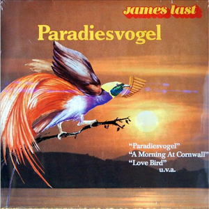 裸体脫衣舞DVD脱
