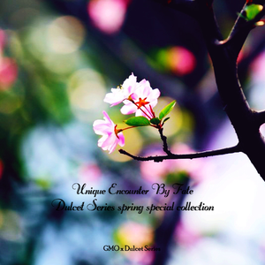 裸体脫衣舞DVD脱
